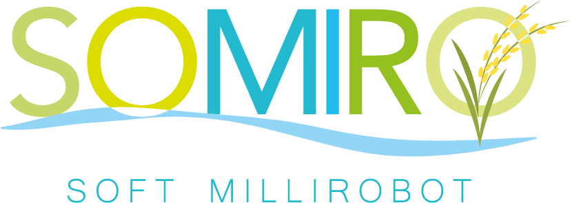 SOMIRO LOGO