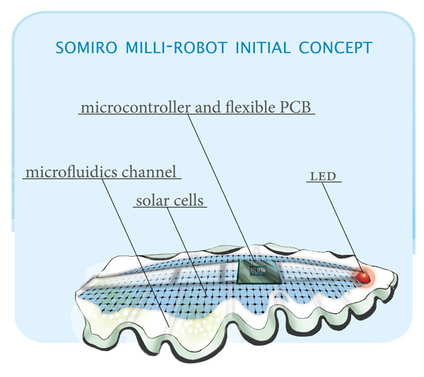 SOMIRO-initial-concept
