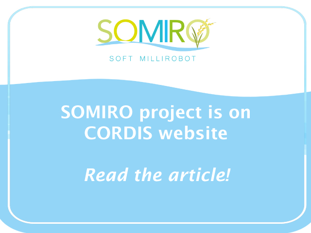 SOMIRO-on-Cordis