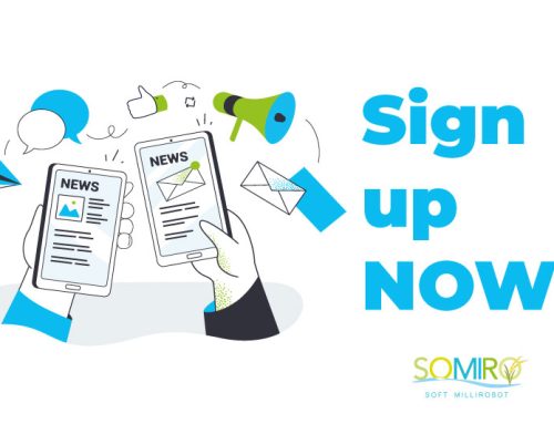 SOMIRO 2nd newsletter is officially OUT!