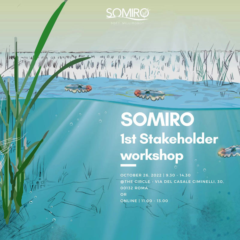 SOMIRO-1st-stakeholder-workshop