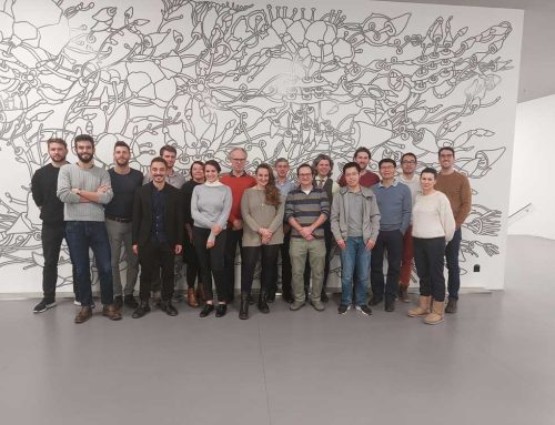 SOMIRO Review Meeting