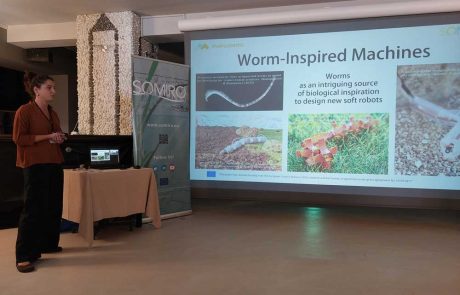 The-MAPWORMS-project-Biomimicry--smart-materials-and-shape-morphing-robots